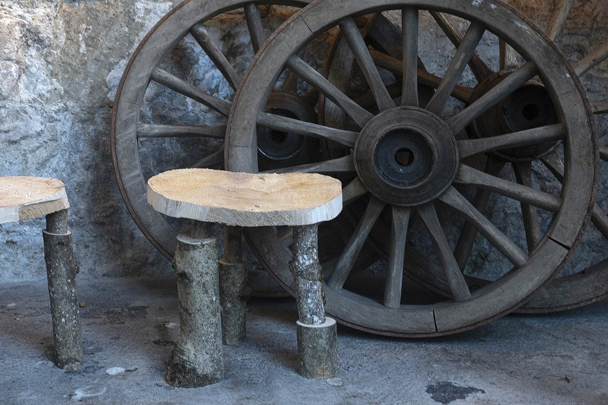 Ax_DSC8313_small